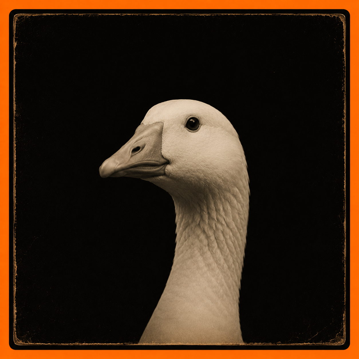 Spok mascot